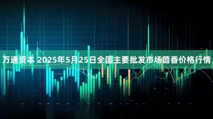 万通资本 2025年5月25日全国主要批发市场茴香价格行情